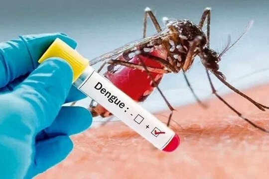 «تب دنگی» به اندازه کرونا گسترش نخواهد یافت