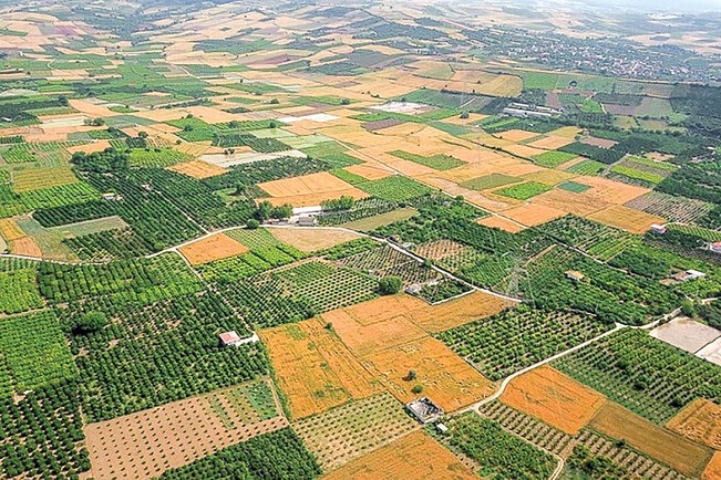 سرشماری کشاورزی در روستاهای قم خانه‌به‌خانه انجام می‌شود