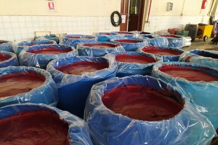اعمال ضوابط سختگیرانه برای فرآوردههای غذایی برگشتی اعمال ضوابط سختگیرانه برای فرآوردههای غذایی برگشتی