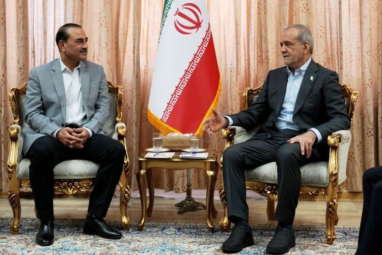 جزئیات دیدار عاصم منیر با پزشکیان جزئیات دیدار عاصم منیر با پزشکیان