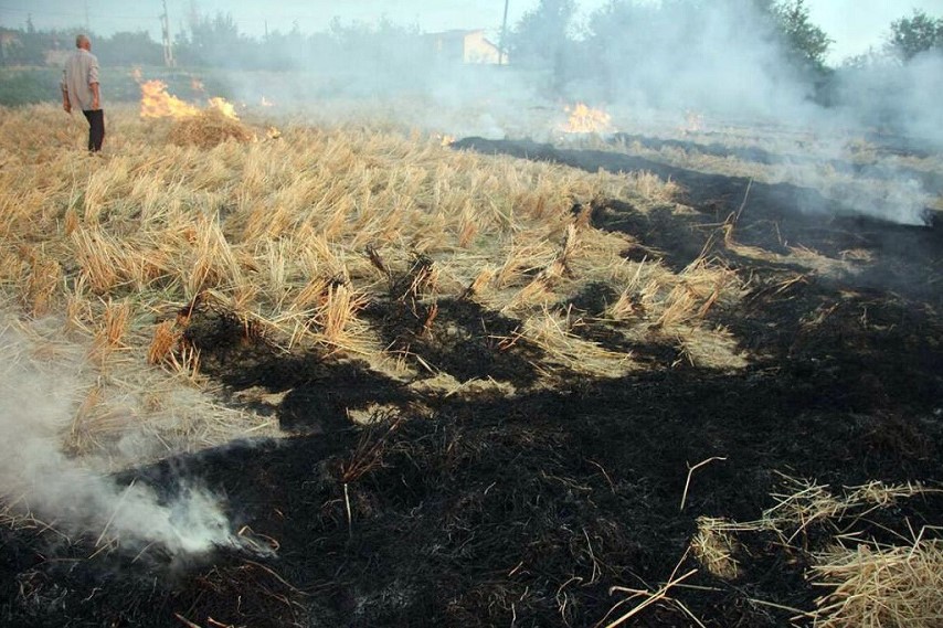 سوزاندن بقایای کشاورزی پس از برداشت ممنوع است
