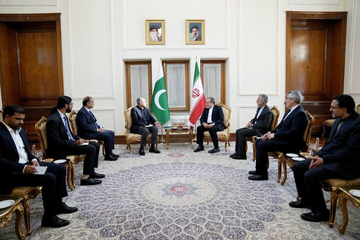 دیدار وزیر کشور پاکستان با عراقچی در تهران
