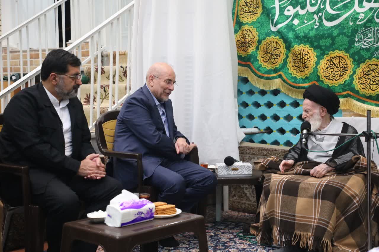 دیدار رئیس مجلس شورای اسلامی با آیت الله شبیری زنجانی دیدار رئیس مجلس شورای اسلامی با آیت الله شبیری زنجانی