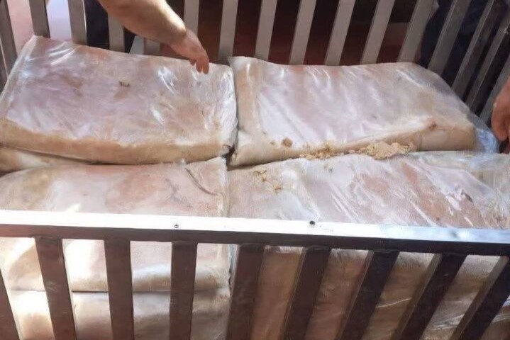 معدومسازی ۱۲۰۰ کیلوگرم خمیرمرغ فاسد در قم