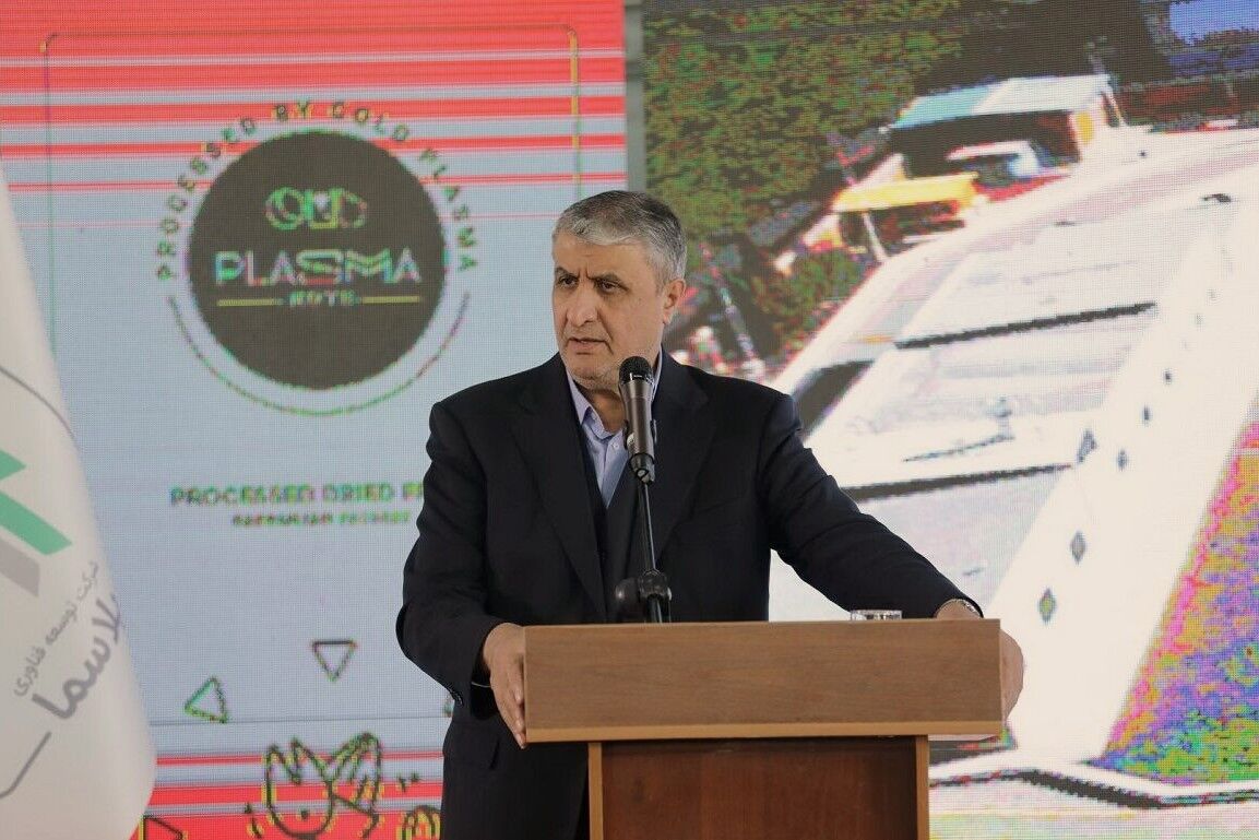 رییس سازمان انرژی اتمی: از فاز تحقیقات هستهای عبور کردهایم رییس سازمان انرژی اتمی: از فاز تحقیقات هستهای عبور کردهایم