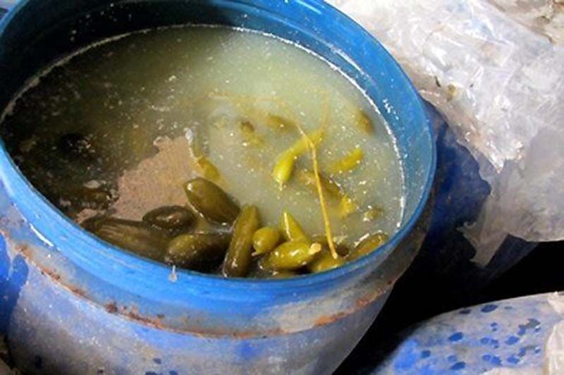 توقیف ۱۷۰ کیلوگرم خیارشور غیر بهداشتی در قم توقیف ۱۷۰ کیلوگرم خیارشور غیر بهداشتی در قم