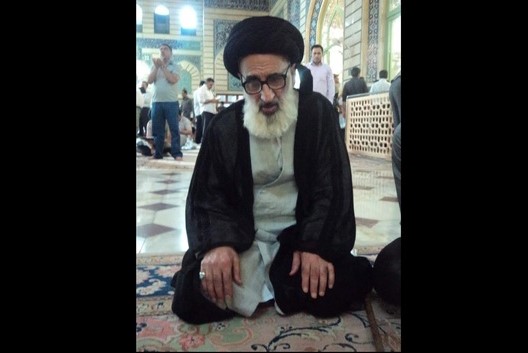 آیت الله سید رضی مرعشی درگذشت