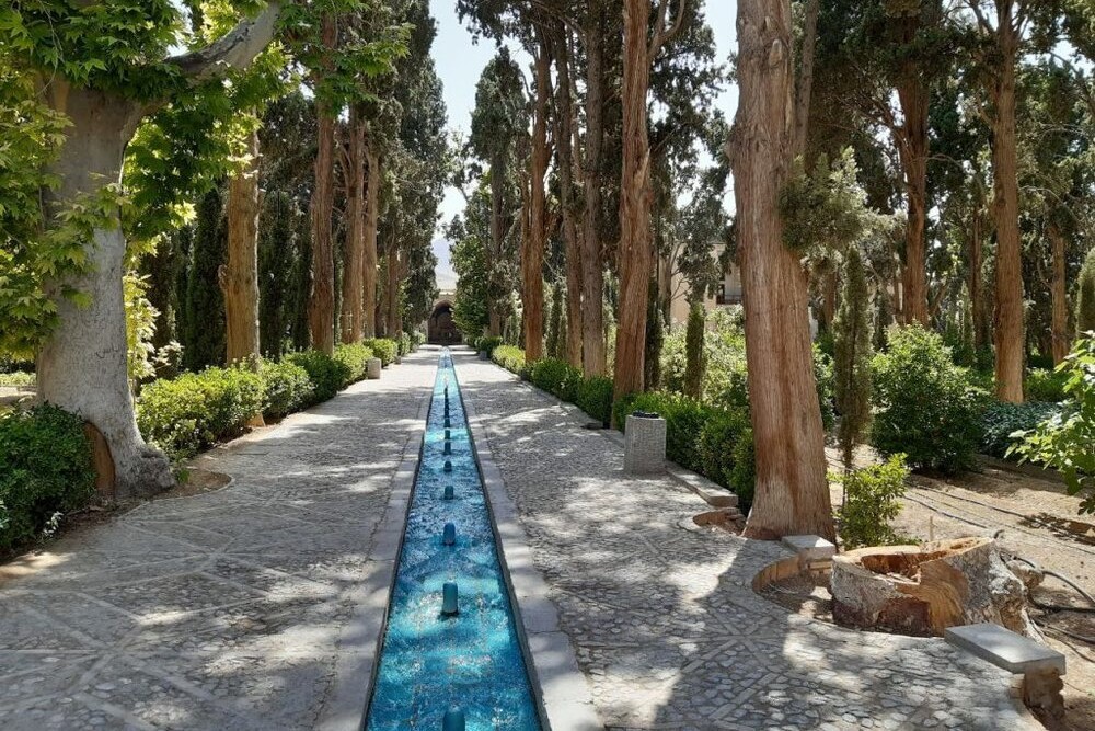 شستشوی فنی درختان کهنسال باغ فین کاشان شستشوی فنی درختان کهنسال باغ فین کاشان