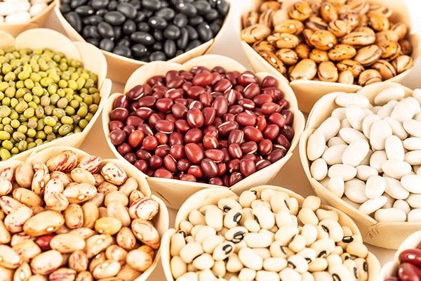 قیمت حبوبات کاهش یافت