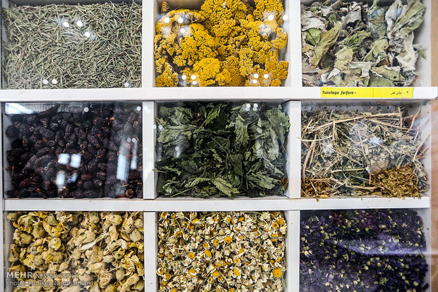 عواقب خطرناک مصرف بی‌رویه دمنوش‌های گیاهی