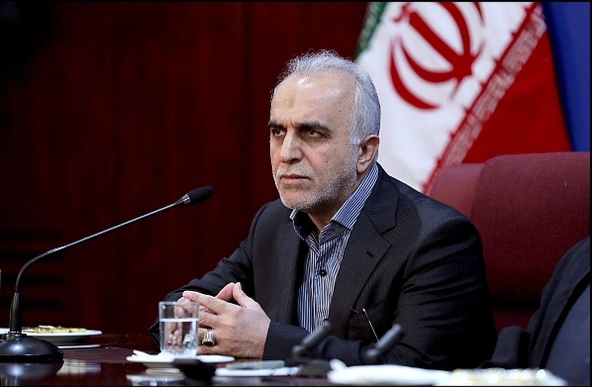 وزیر اقتصاد: سرخابی‌ها دهه فجر بورسی می‌شوند