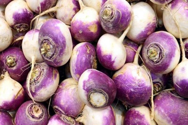 بعد از سیب زمینی، قیمت شلغم سر به فلک کشید! بعد از سیب زمینی، قیمت شلغم سر به فلک کشید!