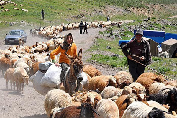 قم دارای ۳۰۳ خانوار عشایری است