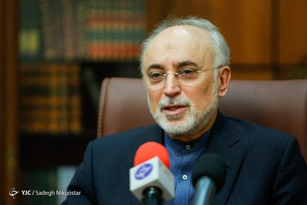 صالحی: در دوران روحانی از منجنیق فلک سنگ فتنه می‌بارید
