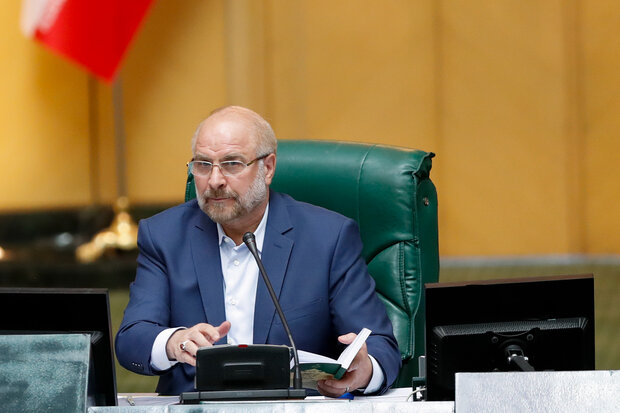  شبکه توزیع کالا در کشور دچار مشکل است/ سبد کالا داده شود