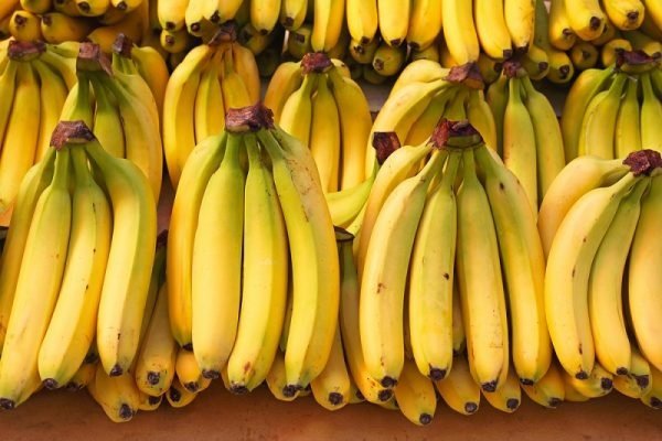 قیمت موز کاهش یافت