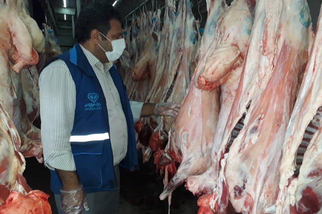ضبط ۷۲ تن گوشت و مرغ غیرقابل مصرف در کشتارگاه‌های قم