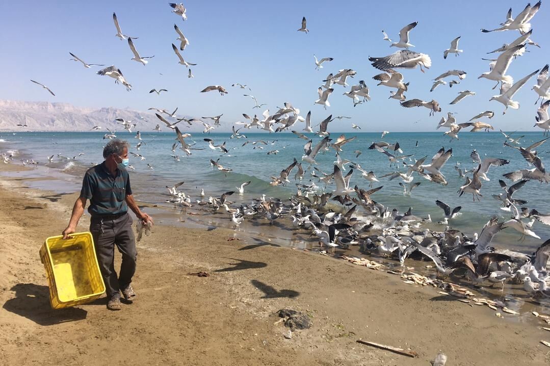 غذادهی دستی به گونه‌های جانوری ممنوع است